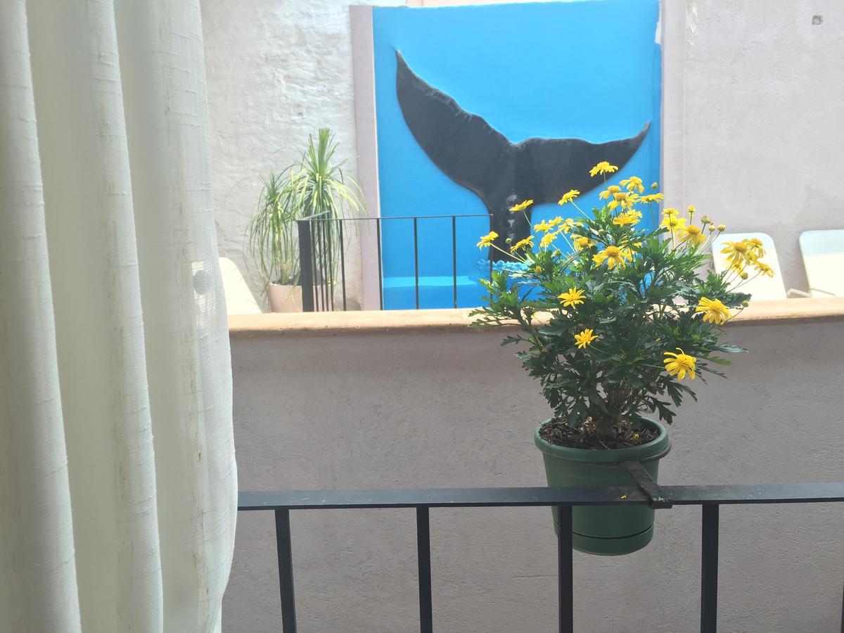 Suites Colibri San Miguel de Allende Exteriör bild